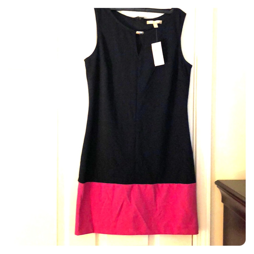 Banana Republic Color block dress